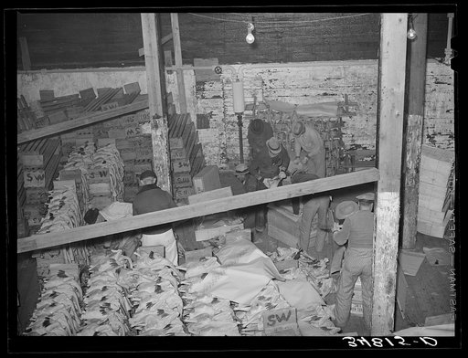 Turkey packing room at cold storage plant. Brownwood, Texas