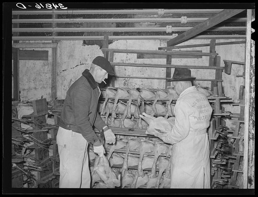 Selecting turkeys at cold storage plant. Brownwood, Texas
