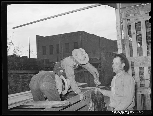 Untitled photo, possibly related to: Farmer unloading turkeys from his truck at cooperative poultry house. Brownwood, Texas