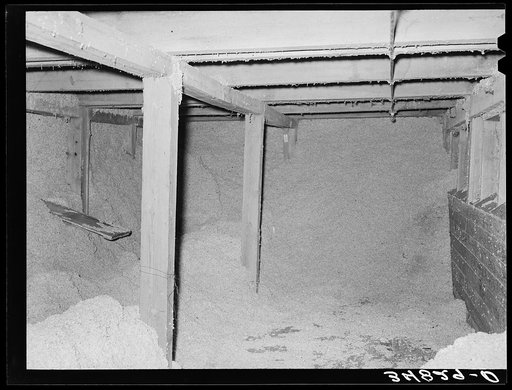 Cotton seed in storage. Cotton seed oil mill. McLennan County, Texas