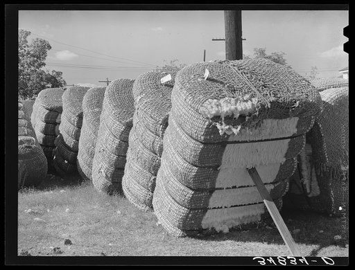 Bales of cotton in gin yard. West, Texas