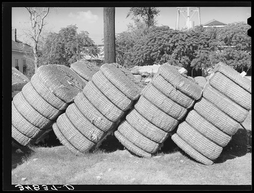 Bales of cotton in gin yard. West, Texas