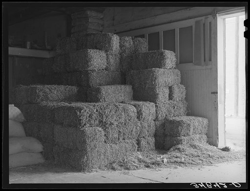 Peanut hay in feed store. Brownwood Texas