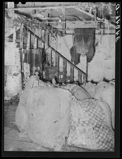 Sacks of feathers and bloody overalls at cooperative poultry house. Brownwood, Texas