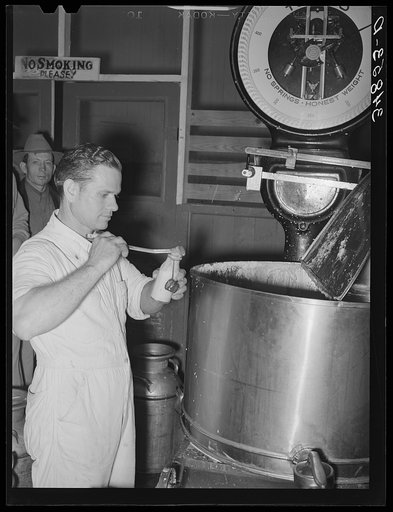 Taking sample of milk from weighing kettle to determine percentage of butter fat. Babcock test. Creamery, San Angelo, Texas