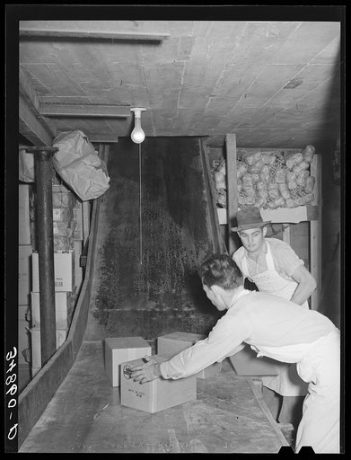 Handling cartons of groceries which have been "shot down the chute."  Wholesale grocery, San Angelo, Texas