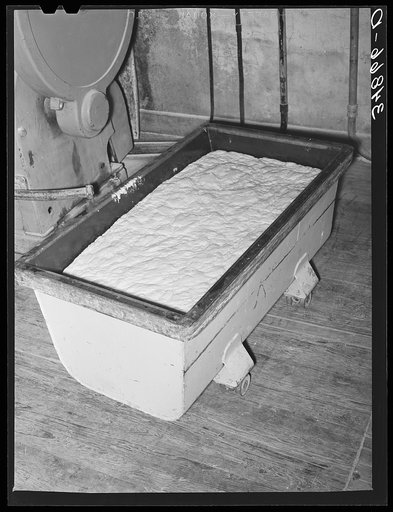 Dough rising at bakery. San Angelo, Texas