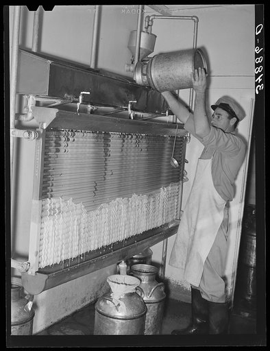 Cooling milk at large dairy. Tom Green County, Texas