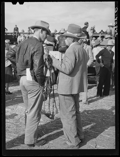 Texans at Palomino horse auction. El Dorado, Texas