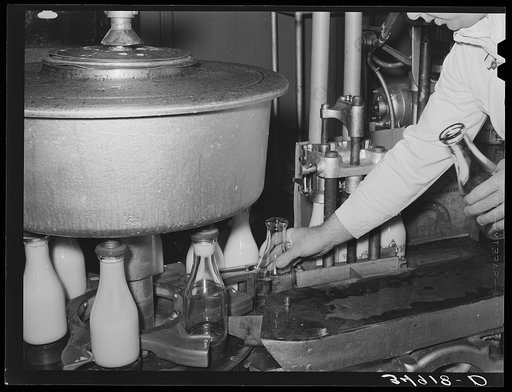 Placing milk bottle into rotary filling machine. San Angelo, Texas