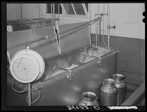 Pasteurizing milk. Creamery, San Angelo, Texas