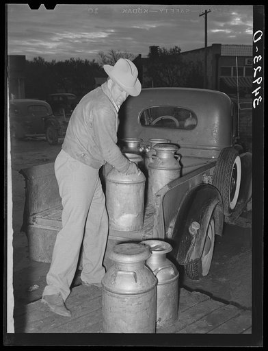 Farmer unloading milk at creamery in the early morning. San Angelo, Texas