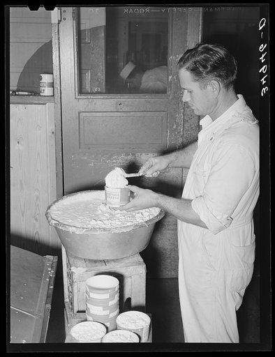 Filling cartons with cottage cheese. Creamery, San Angelo, Texas