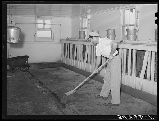 Floor of milking house is swept between each group of cows milked. Large dairy, Tom Green County, Texas