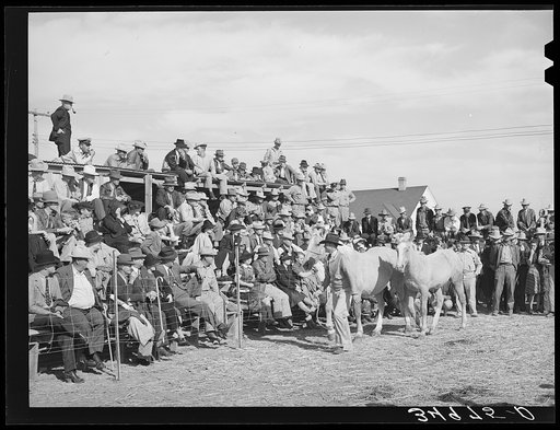 Crowd at horse auction. El Dorado, Texas