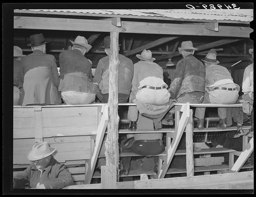 Rear view of people at auction. San Angelo, Texas