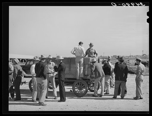 Activity at livestock auction sale. San Angelo, Texas