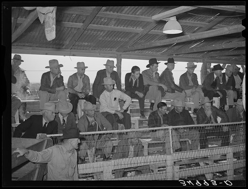 Spectators and buyers at livestock auction. San Angelo, Texas
