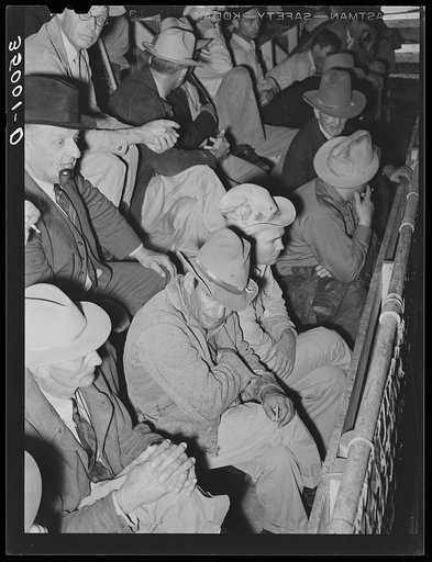 Spectators at livestock auction. San Angelo, Texas