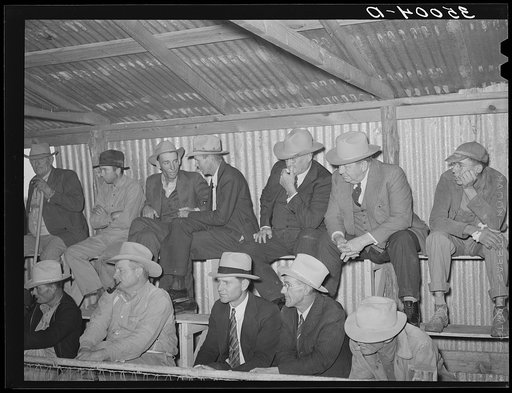 Spectators at livestock auction. San Angelo, Texas