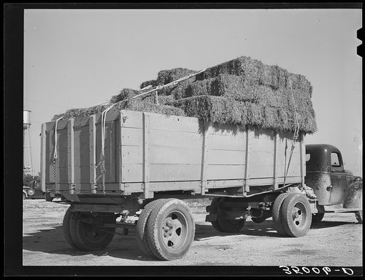 Truckload of hay at livestock auction. San Angelo, Texas