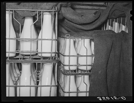 Milk in rear of farmer's automobile. The dampened burlap bags keep the milk cold. Creamery, San Angelo, Texas