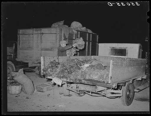 Truck farmer removing vegetables which he has sold from his truck. Early morning market, San Angelo, Texas