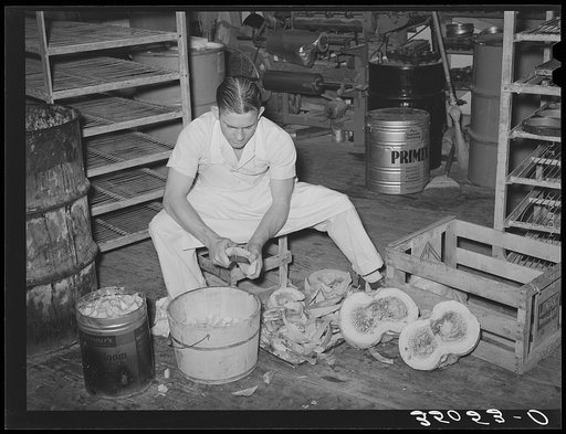 Cutting up pumpkin for pies. Bakery, San Angelo, Texas