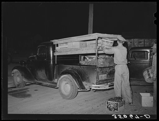 Retail grocers truck driver loading vegetables at early morning market. San Angelo, Texas