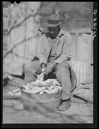 Pomp Hall, Negro tenant farmer, shelling seed corn. Creek County, Oklahoma. See general caption number 23