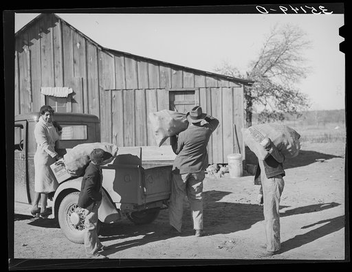 Carrying sacks of seed corn from truck. Pomp Hall, Negro tenant farmer. Creek County, Oklahoma. See general caption number 23