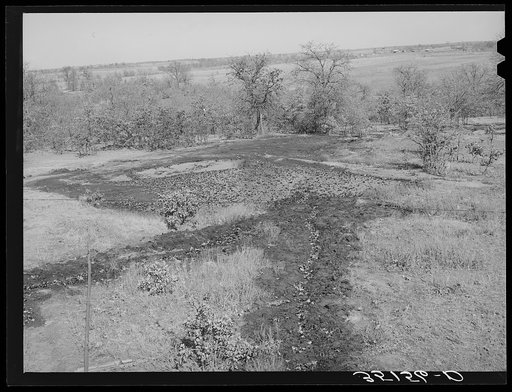 Untitled photo, possibly related to: Oil draining from tanks into slush pit. Slick, Oklahoma