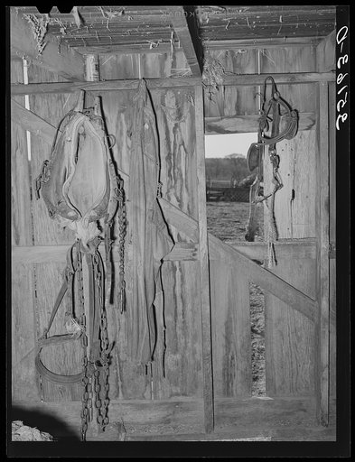 Harness and overalls in barn of Pomp Hall, Negro tenant farmer. Creek County, Oklahoma. See general caption number 23