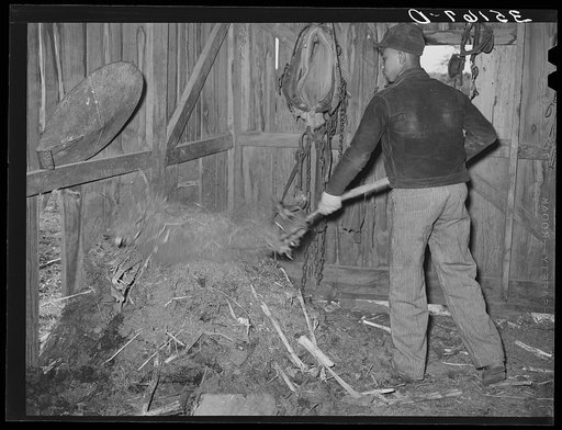 Untitled photo, possibly related to: Son of Pomp Hall, Negro tenant farmer, cleaning out manure in barn. Creek County, Oklahoma. See general caption number 23