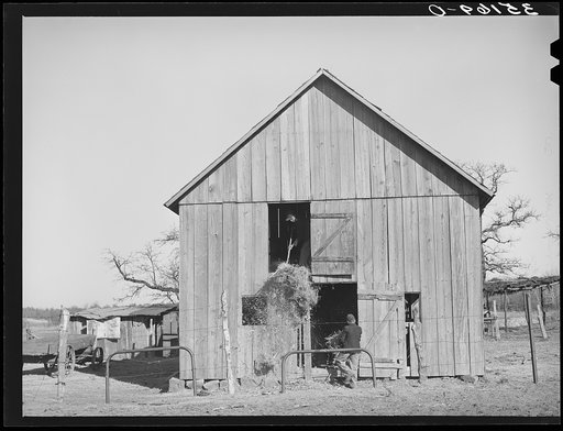 Son of Pomp Hall, Negro tenant farmer, carrying hay into barn to feed mule while his brother pitches down the hay from the loft above. Creek County, Oklahoma. See general caption number 23