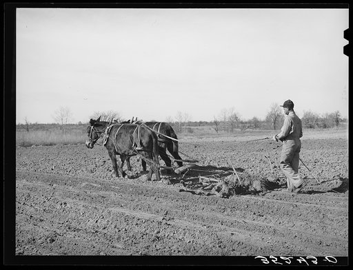 Son of Pomp Hall, Negro tenant farmer, harrowing. Creek County, Oklahoma. See general caption number 23