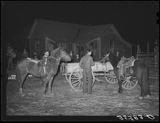 Farm boys trying up their horses at play party in McIntosh County, Oklahoma. See general caption number 26