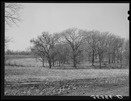 Landscape. McIntosh County, Oklahoma
