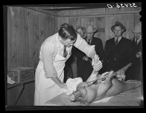 FSA (Farm Security Administration) supervisor who was formerly a meat cutter at a large packing plant giving a demonstration of meat cutting before a group of FSA officials at a district meeting. San Angelo, Texas