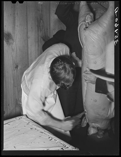 FSA (Farm Security Administration) supervisor who was formerly a meat cutter at a large meat packing plant giving a demonstration of meat cutting before a group of FSA officials at a district meeting. San Angelo, Texas