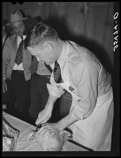 FSA (Farm Security Administration) supervisor giving a demonstration of meat cutting before a group of FSA officials at a district meeting at San Angelo, Texas