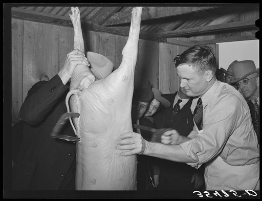FSA (Farm Security Administration) supervisor sawing a hog in halves during a meat cutting demonstration at a district meeting of FSA officials at San Angelo, Texas