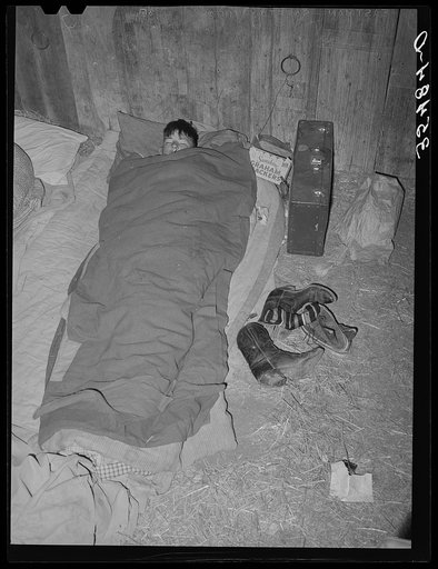 Cowboy asleep in cattle show barn at San Angelo Fat Stock Show. San Angelo, Texas. At nearby all stock shows the working cowboys bring along their camp beds and sleep in the barns