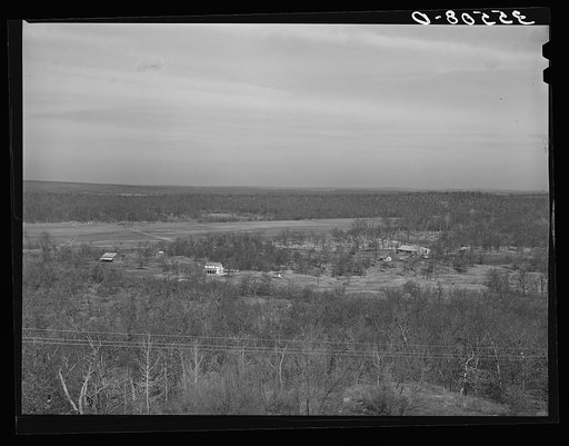 Rich farming land in Canadian River bottom in McIntosh County, Oklahoma