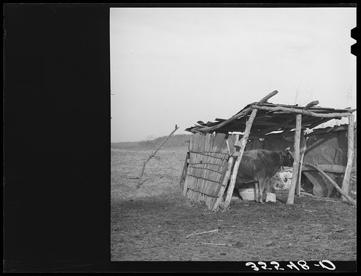 Cowshed on farm of Negro farmer in McIntosh County, Oklahoma