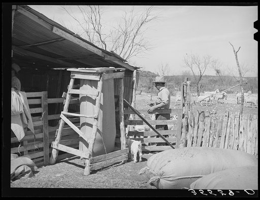 Corner of goat shearing pen with partly filled bag of mohair and filled bags. Ranchman is counting goats as they leave the shearing pen. Kimble County, Texas