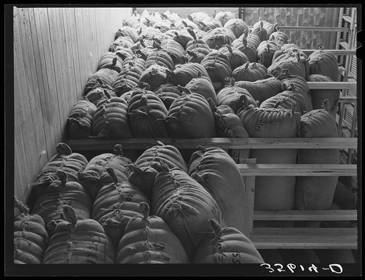 Sacks of wool and mohair in storage at the Kimble County Wool and Mohair Company Warehouse, Junction, Texas