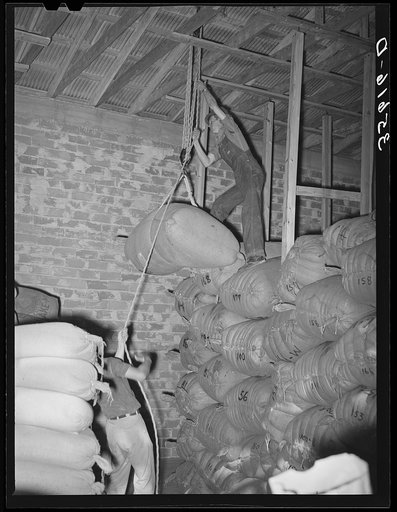 Untitled photo, possibly related to: Hoisting a sack of mohair into place for storage at the Kimble County Wool and Mohair Company Warehouse, Junction, Texas
