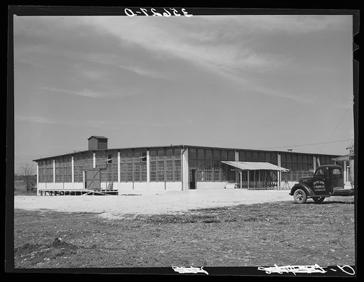 Wool and mohair scouring plant at San Marcos, Texas