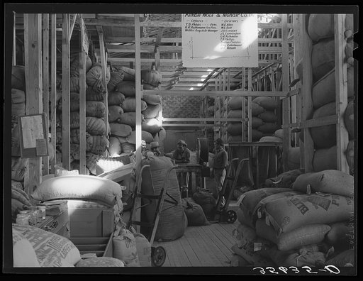 Workers at the Kimble Wool and Mohair Company warehouse standing around the scale and checking desk. Junction, Texas